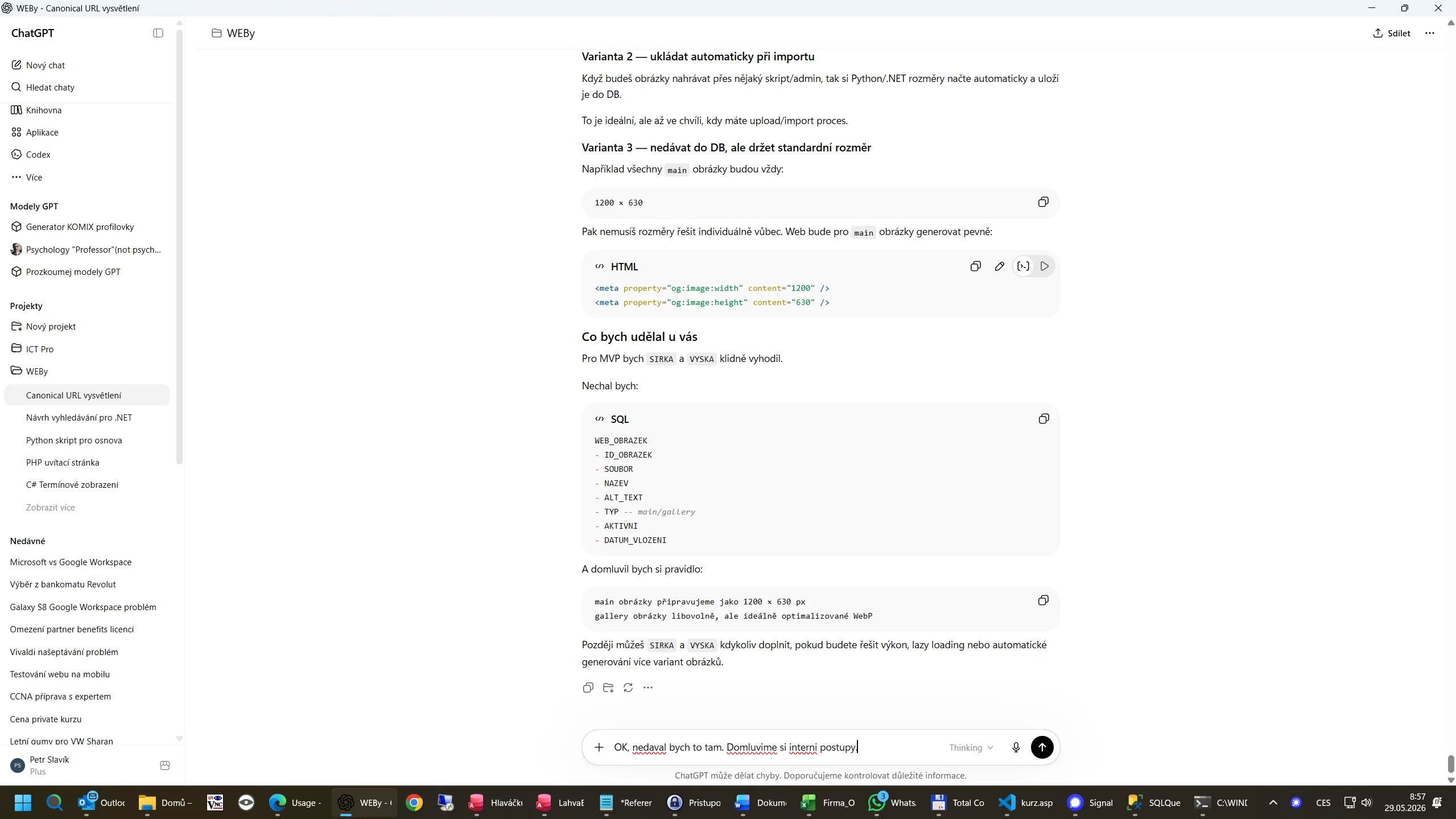 Uživatelské rozhraní ChatGPT s otevřeným novým chatem a bočním panelem historie.