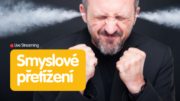 smyslove_pretizeni